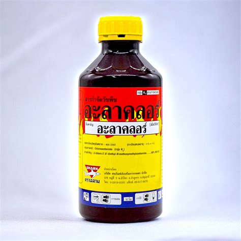ของดี ของถูก Lazada .